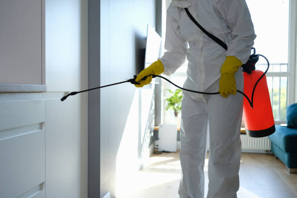Best Air Quality Testing for Mold Spores  in Bradley, WV