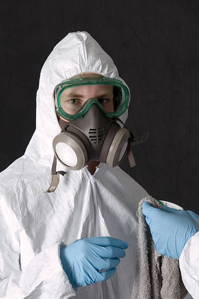 Best Mold-Related Health Consultation  in Bradley, WV